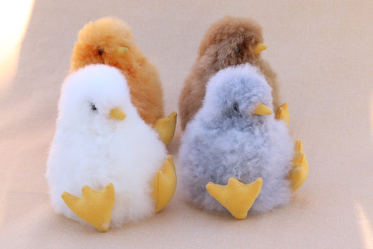 Alpaca Chicks
