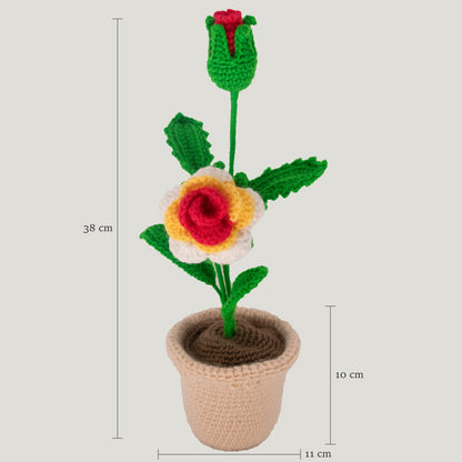 Crochet Rose Flower Pot