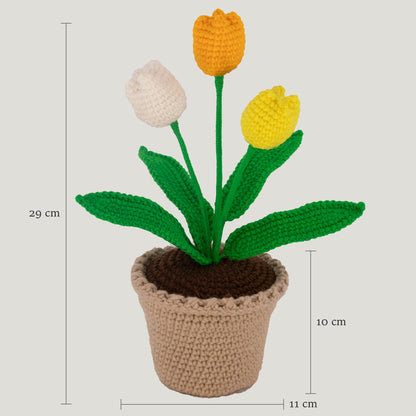 Crochet Tulip Flower Pot